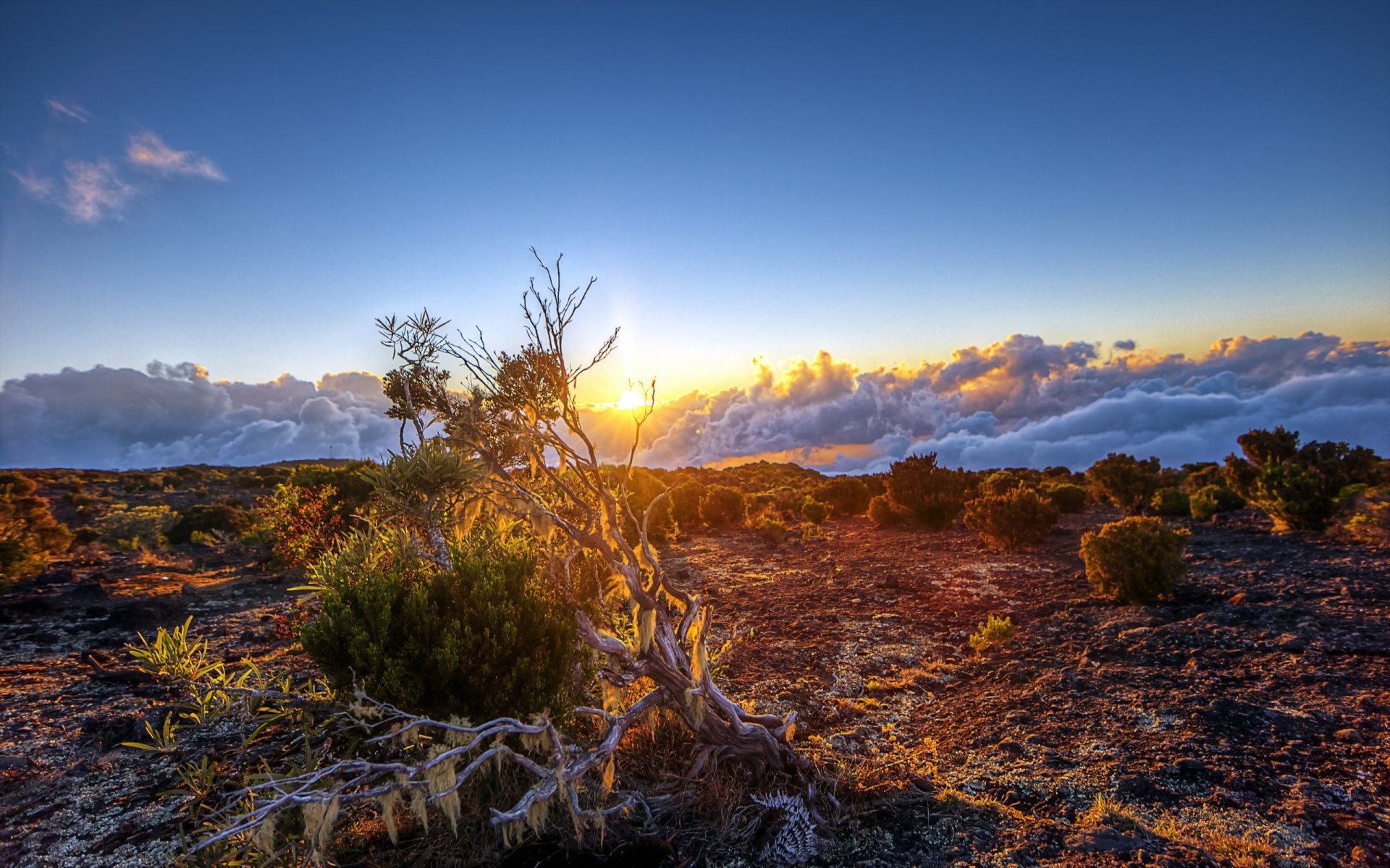 feld sonnenuntergang natur landschaft