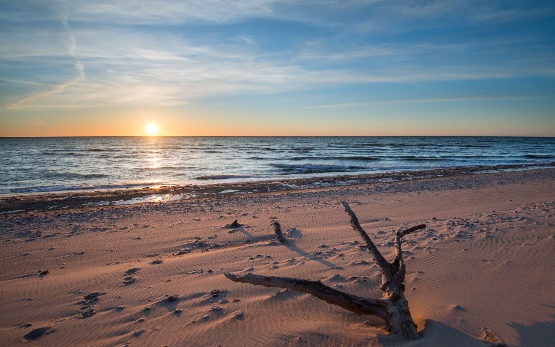 mer coucher de soleil arbre plage paysage