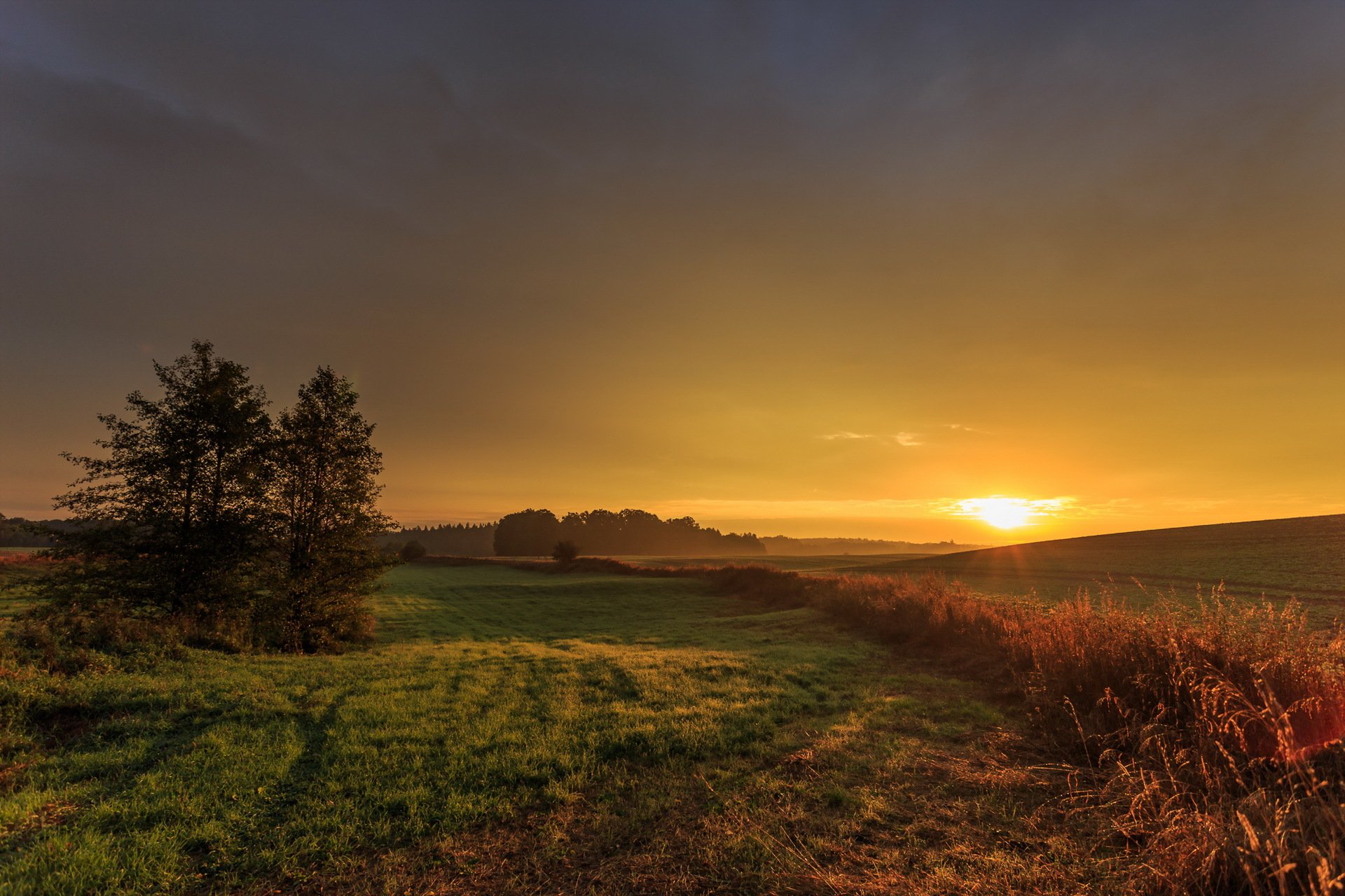 champ coucher de soleil paysage