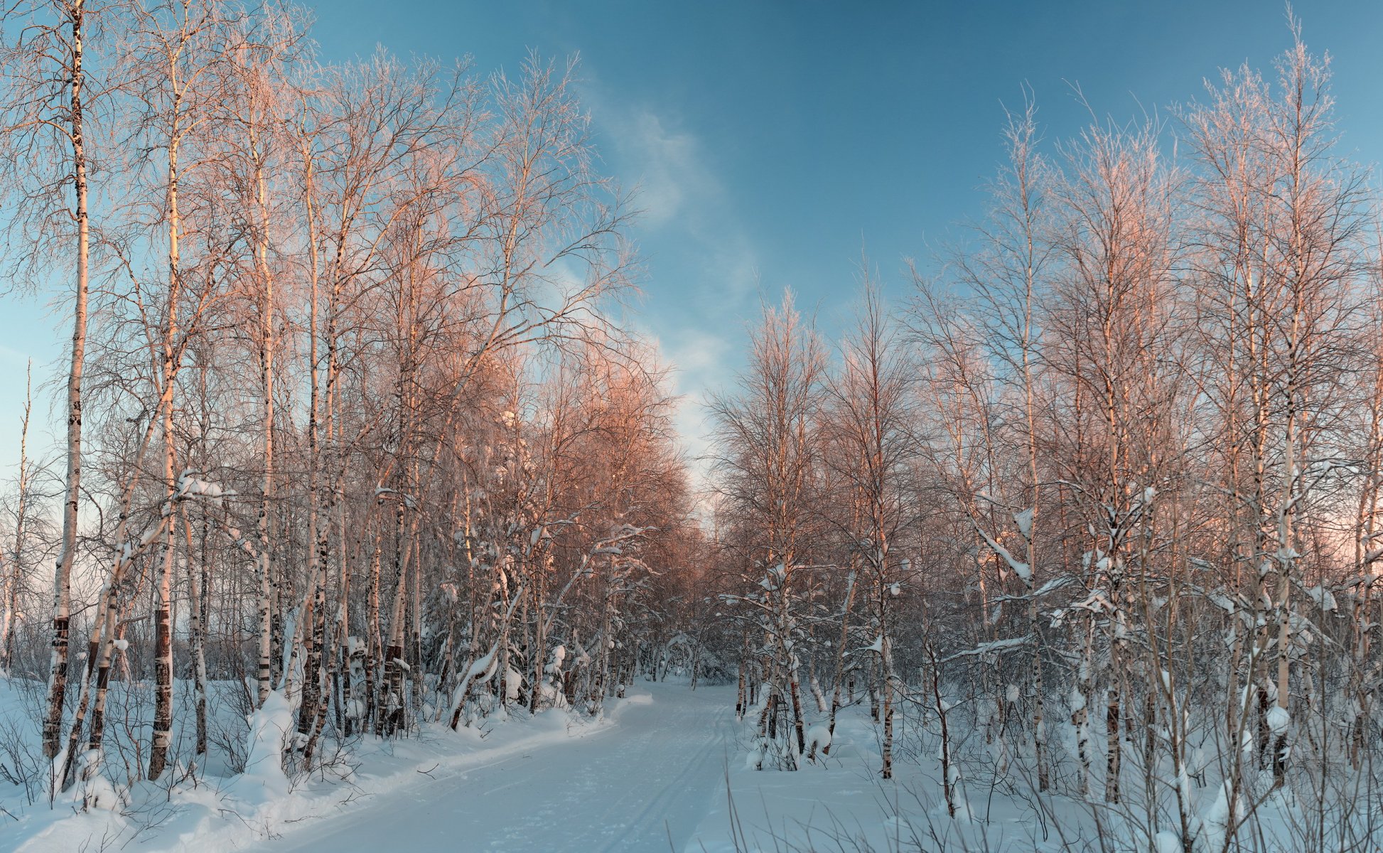 nieve invierno