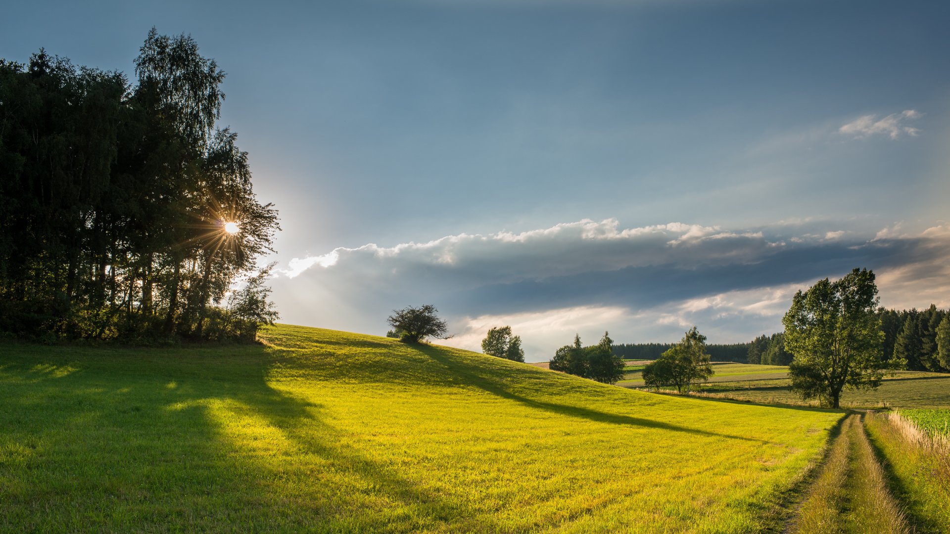 morgen feld straße landschaft