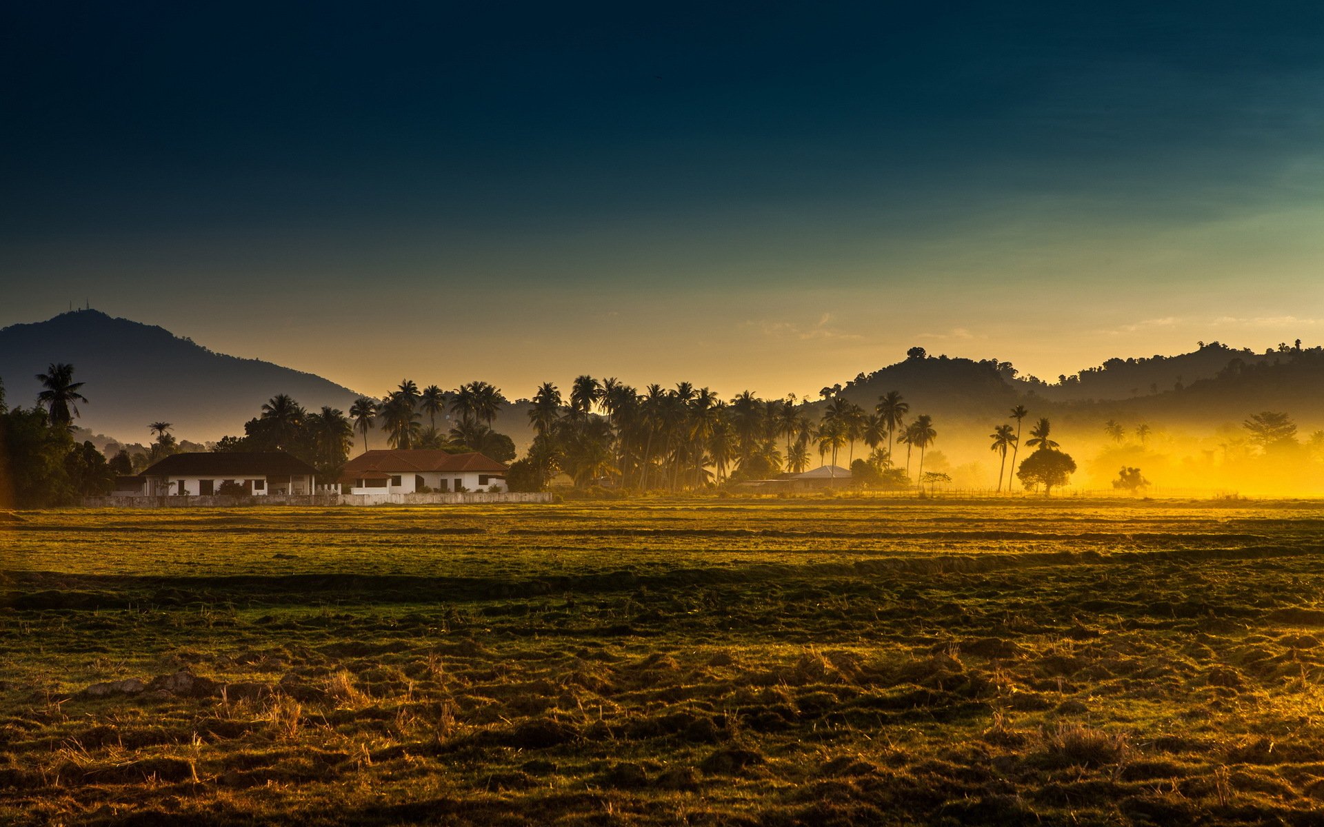 morgen feld nebel landschaft