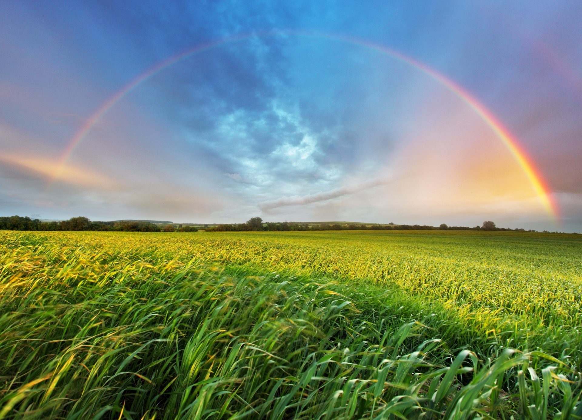 paesaggio arcobaleno erba spazio estate