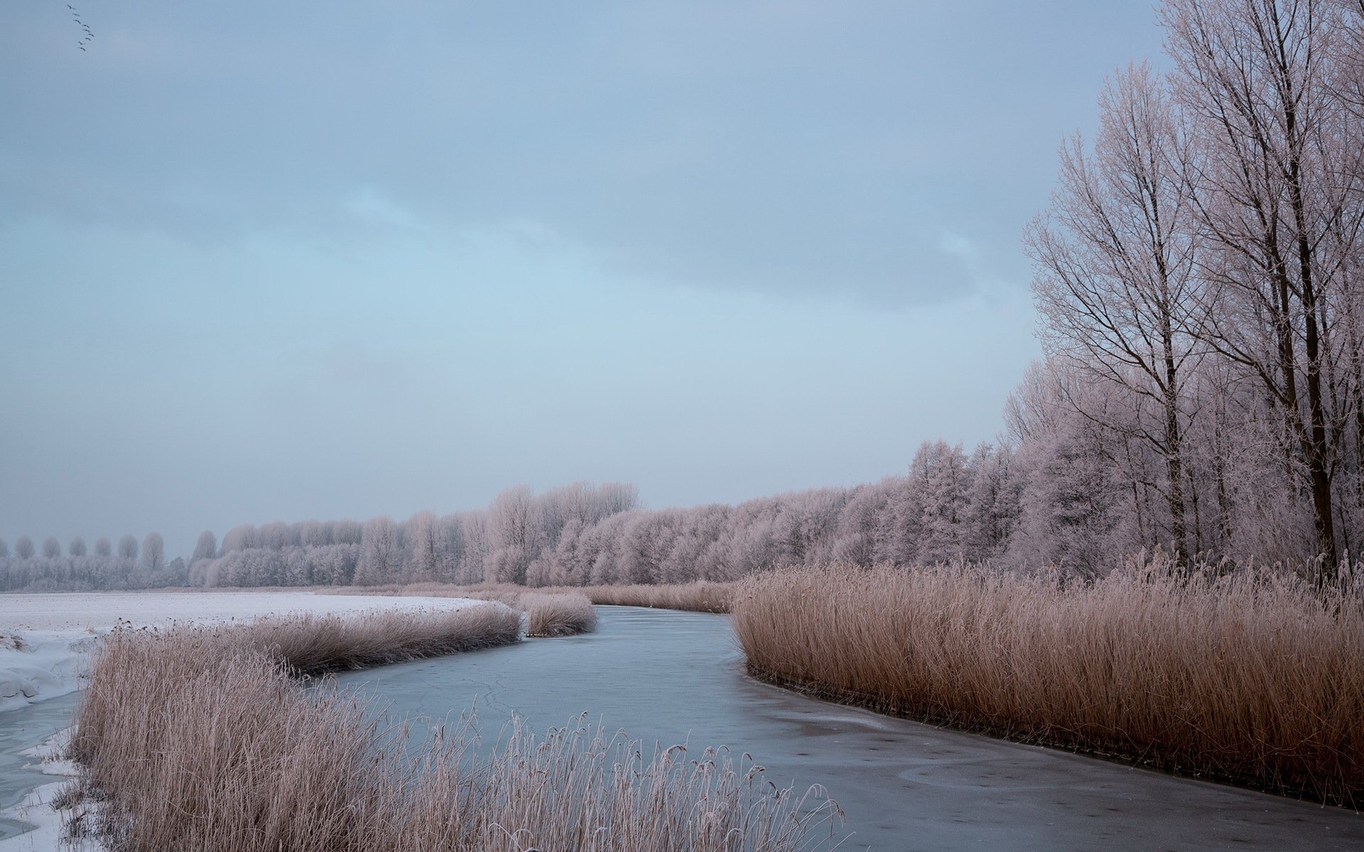 fiume inverno natura