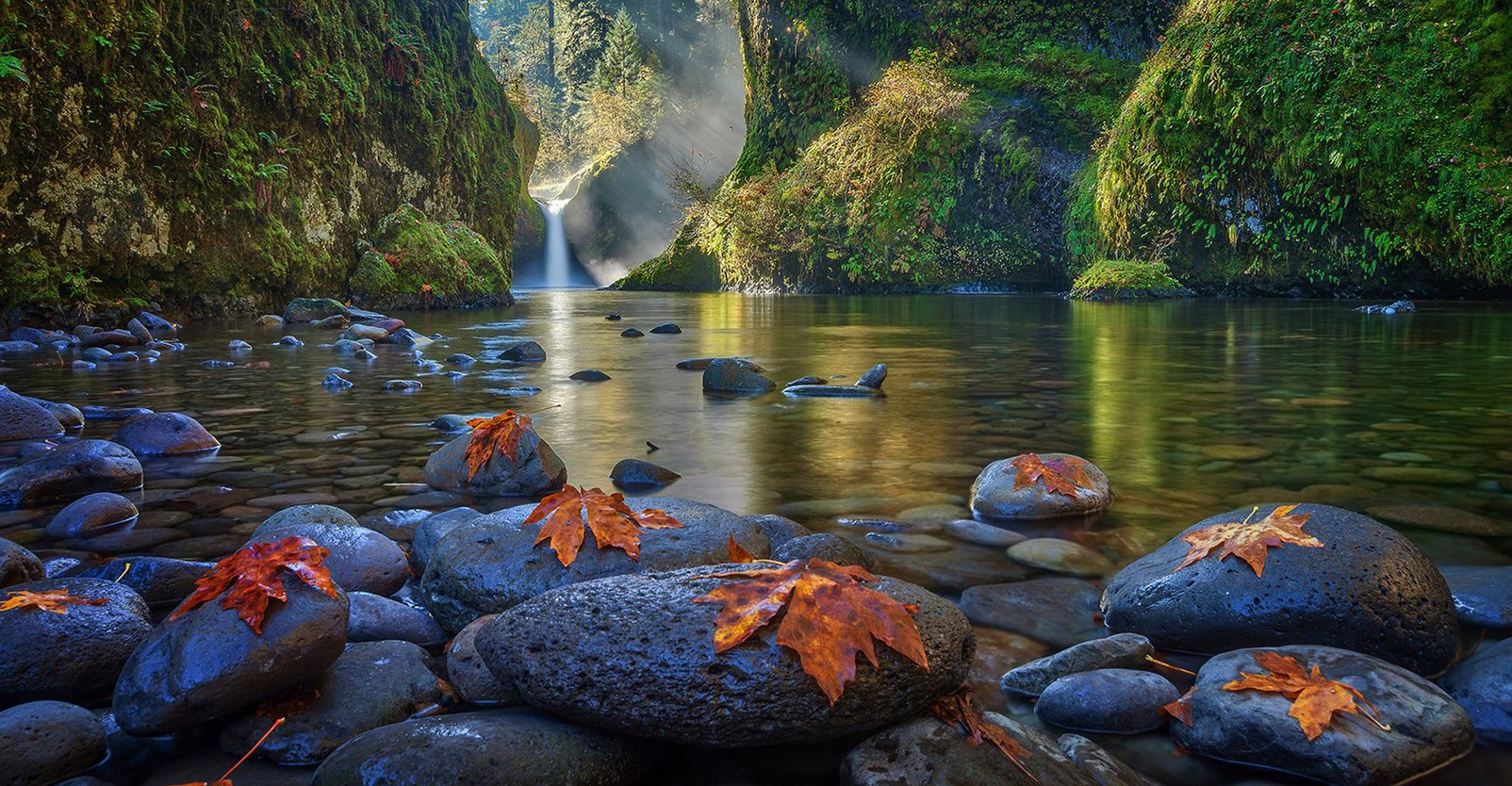 montagne lago foresta alberi acqua rocce foglie