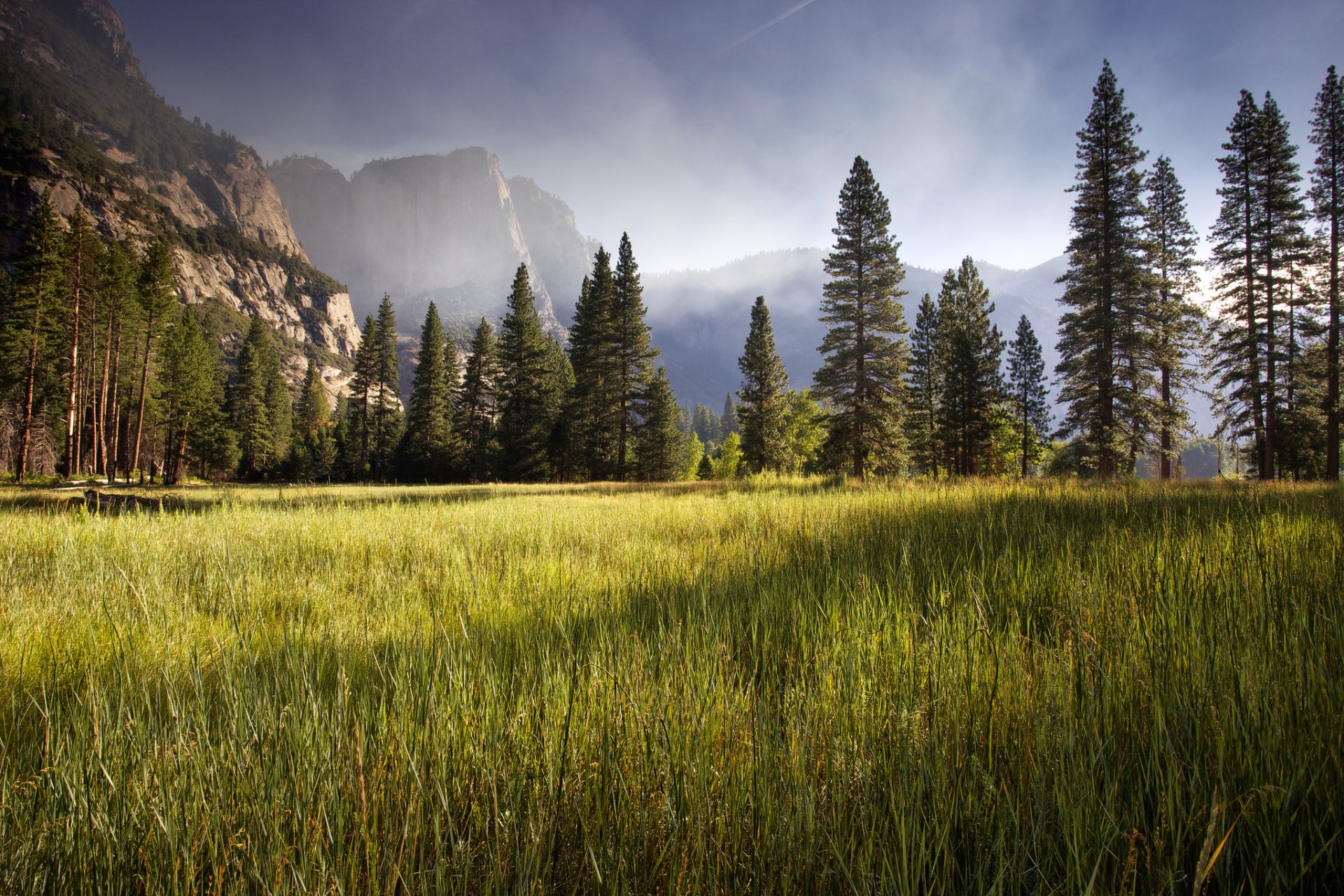 meadow yosemite valley early morning