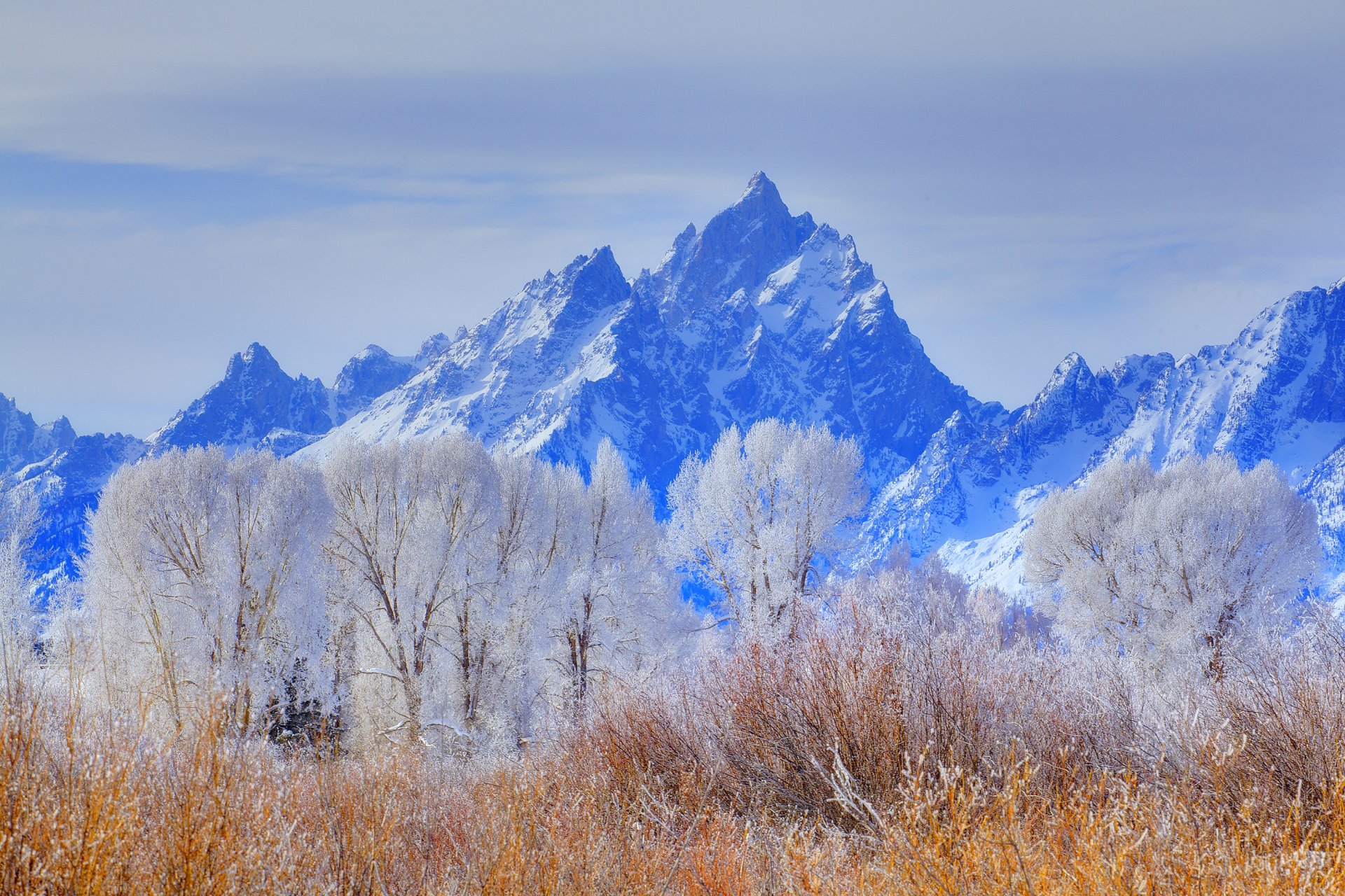 grand teton nationalpark wyoming usa himmel bäume winter schnee frost berge