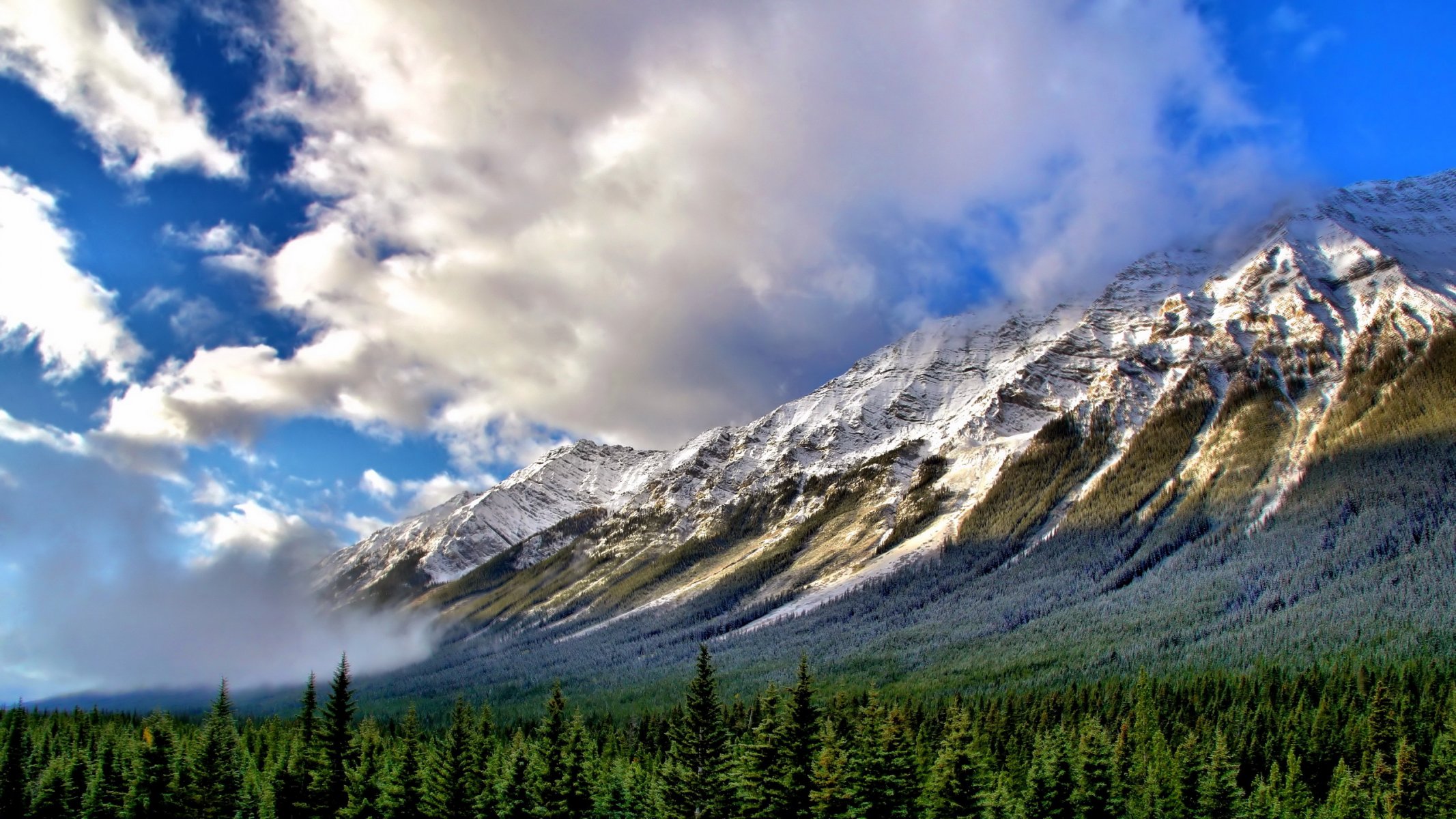 montagnes brouillard paysage