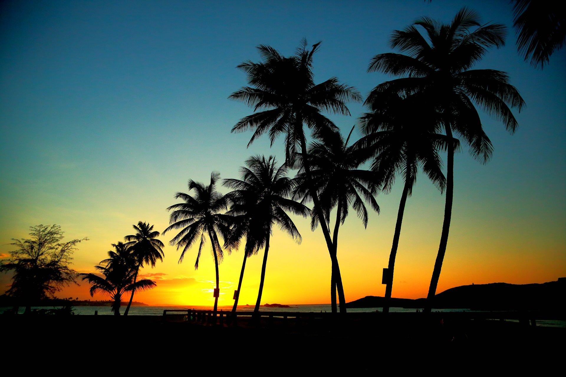 ciel montagnes mer coucher de soleil palmiers