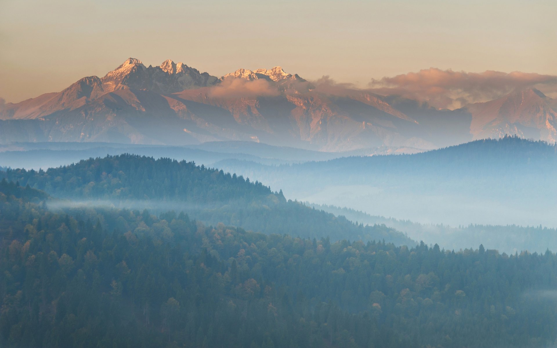 landschaft berge wald panorama