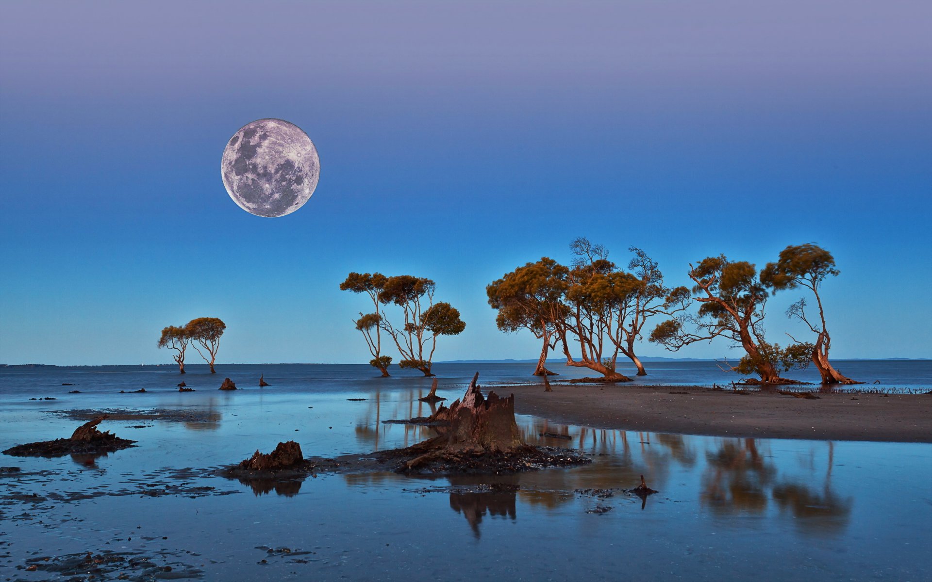 cielo luna naturaleza paisaje