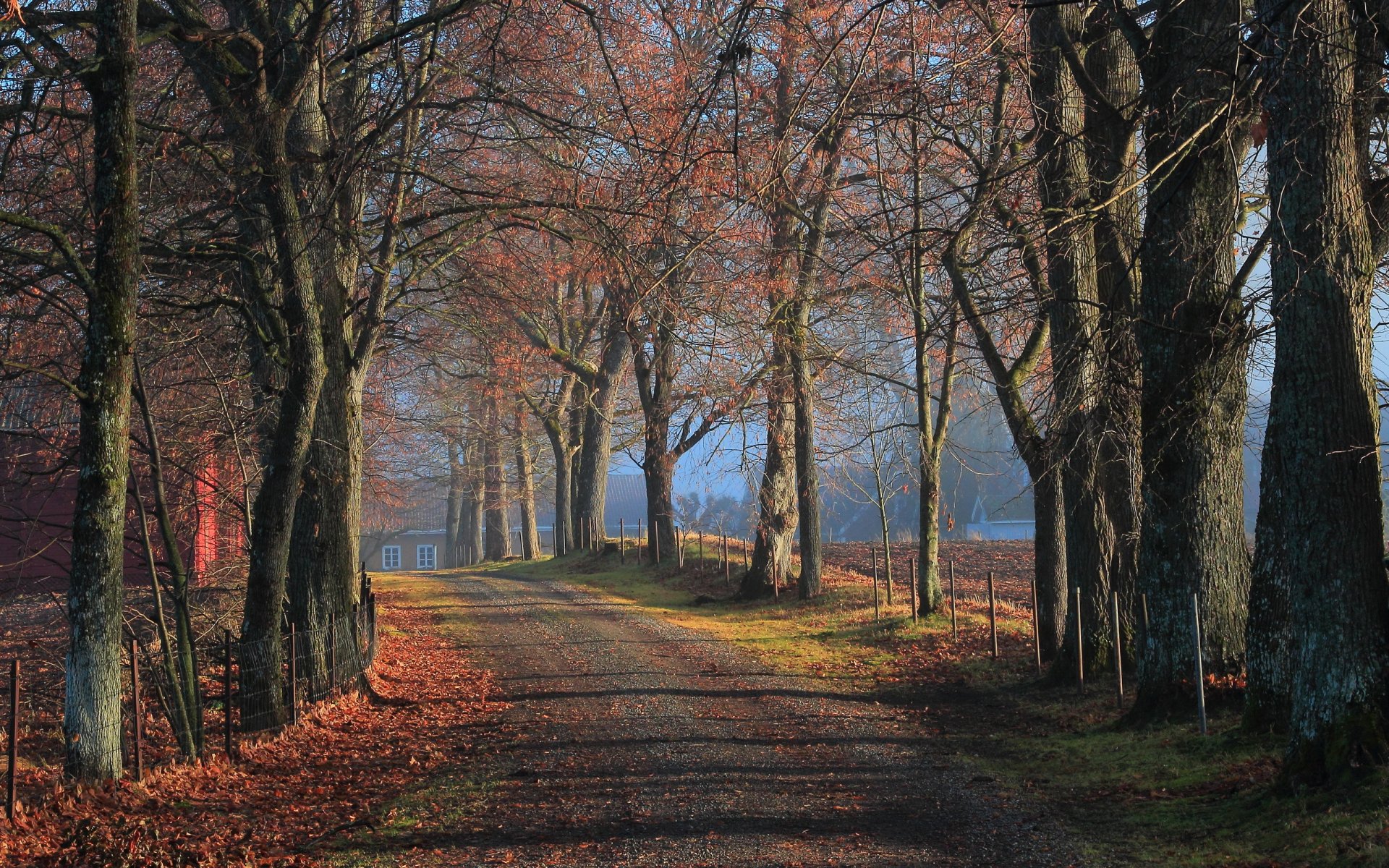 november in the alley autumn road