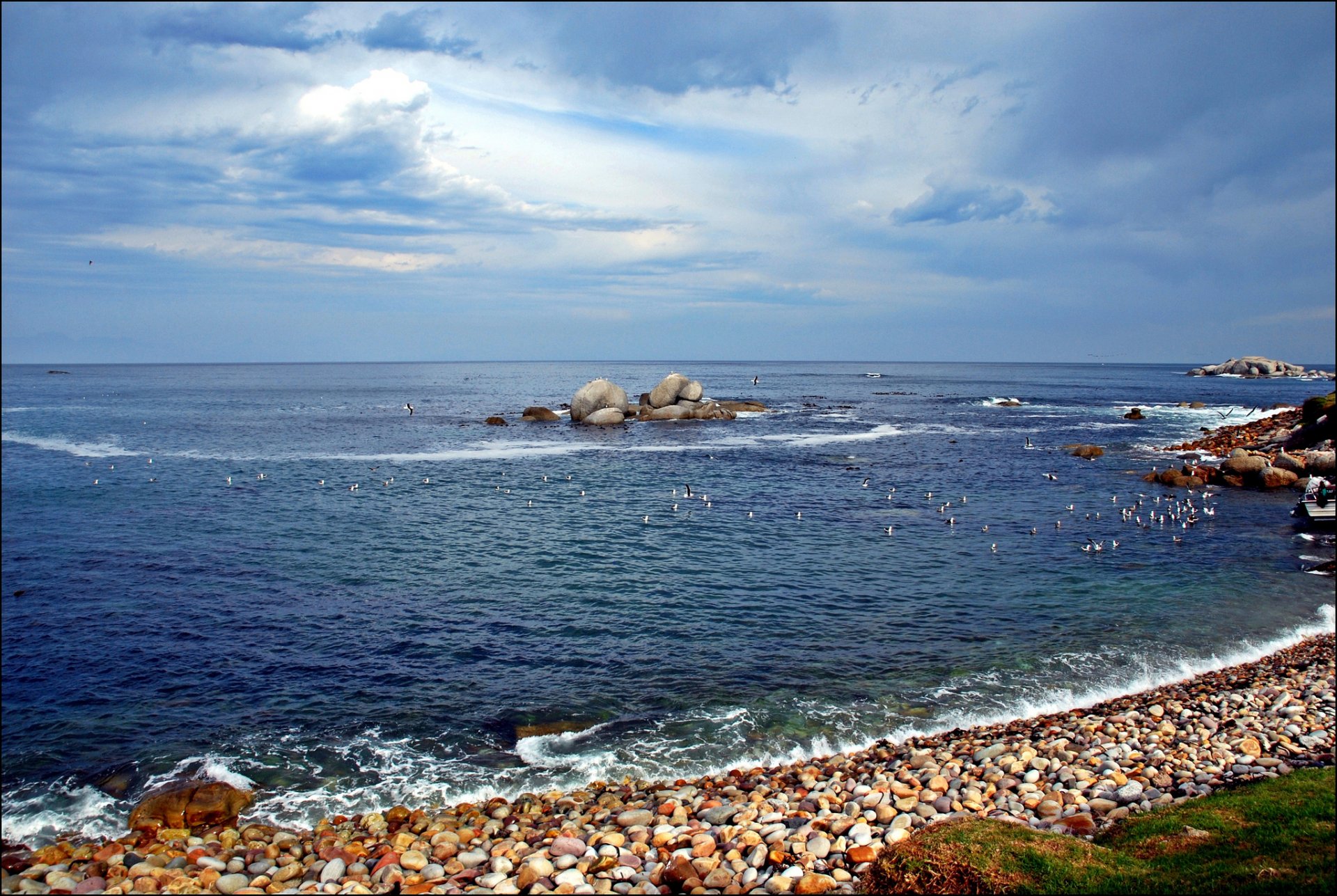 mar playa piedras aves