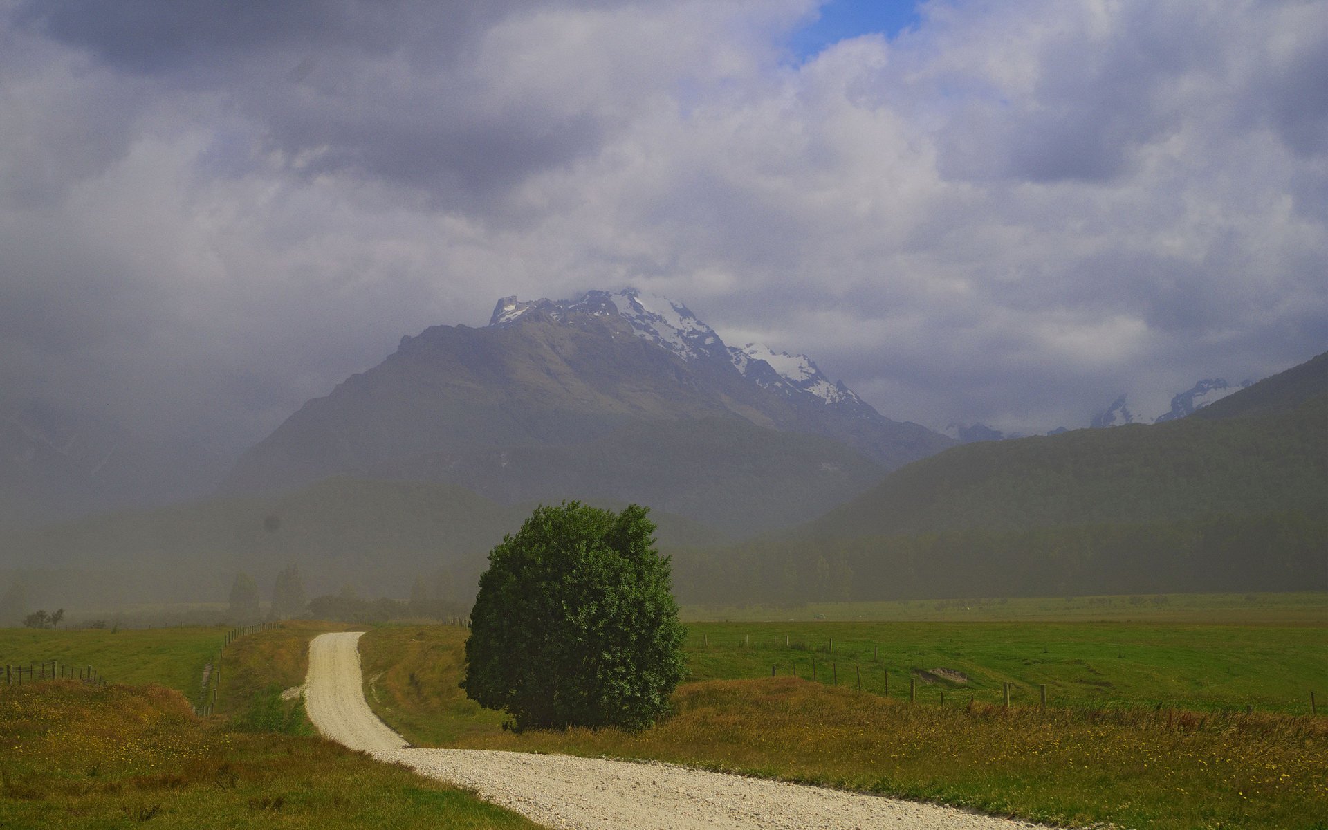 nouvelle-zélande montagne champ route arbre brouillard