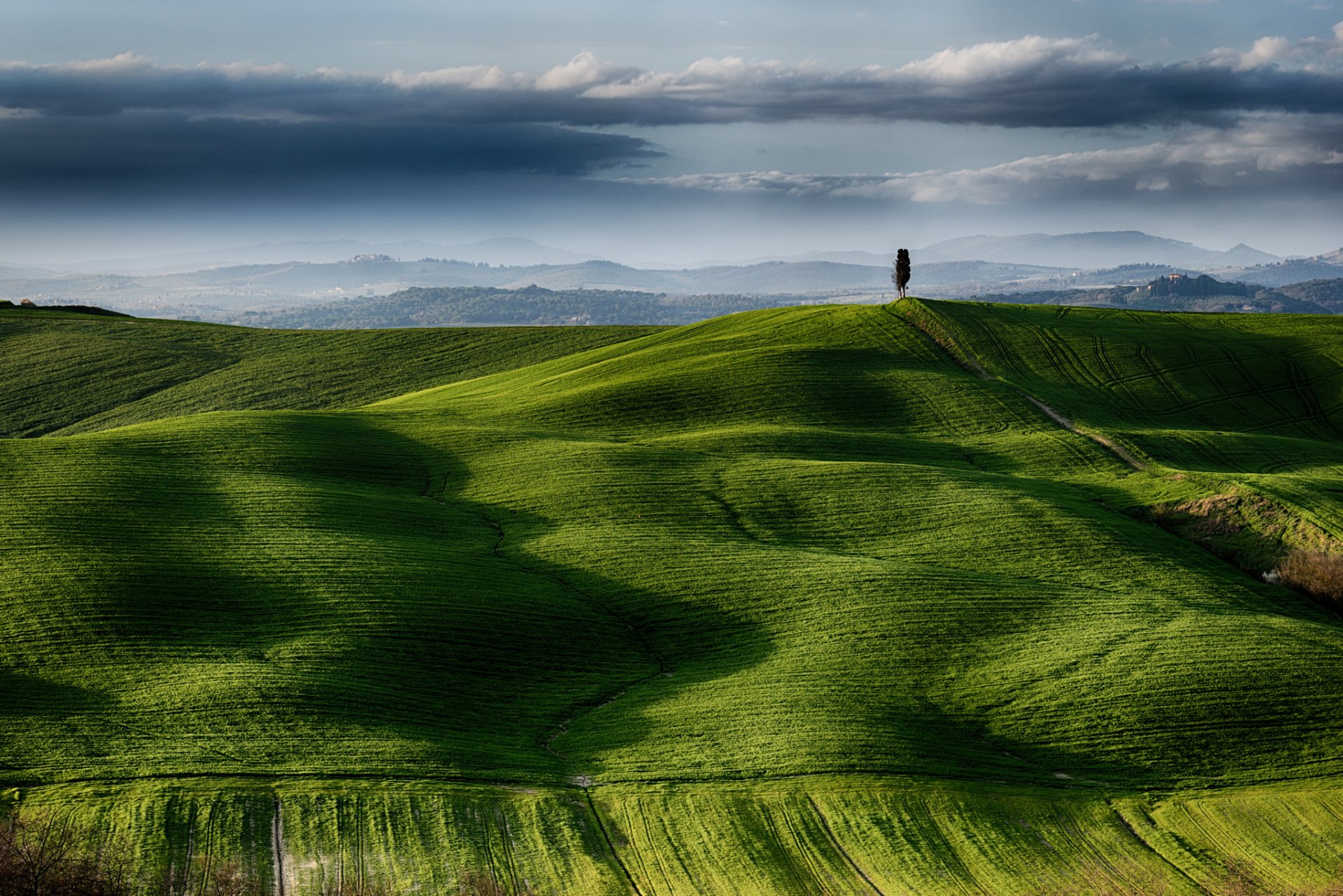 italia toscana campos árbol cielo nubes