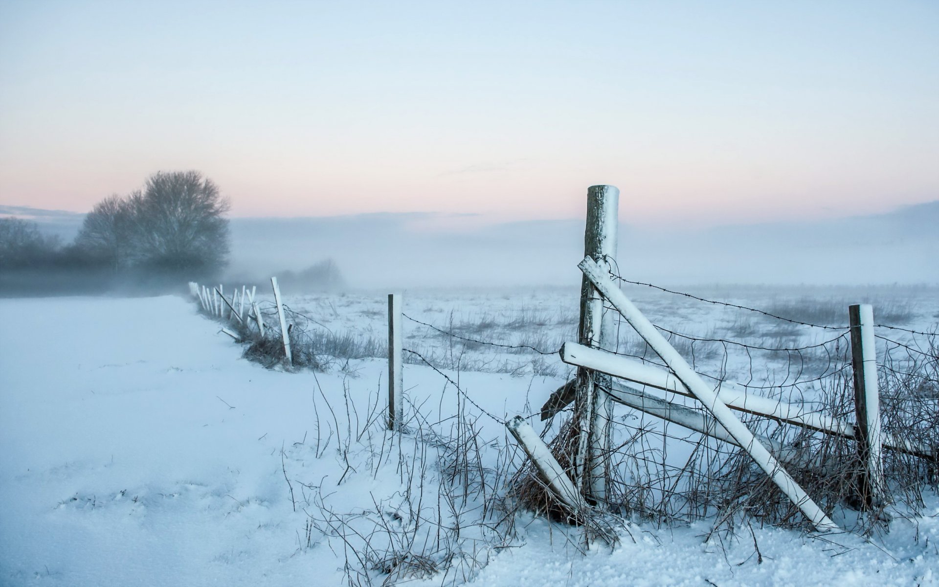 matin champ brouillard paysage neige clôture