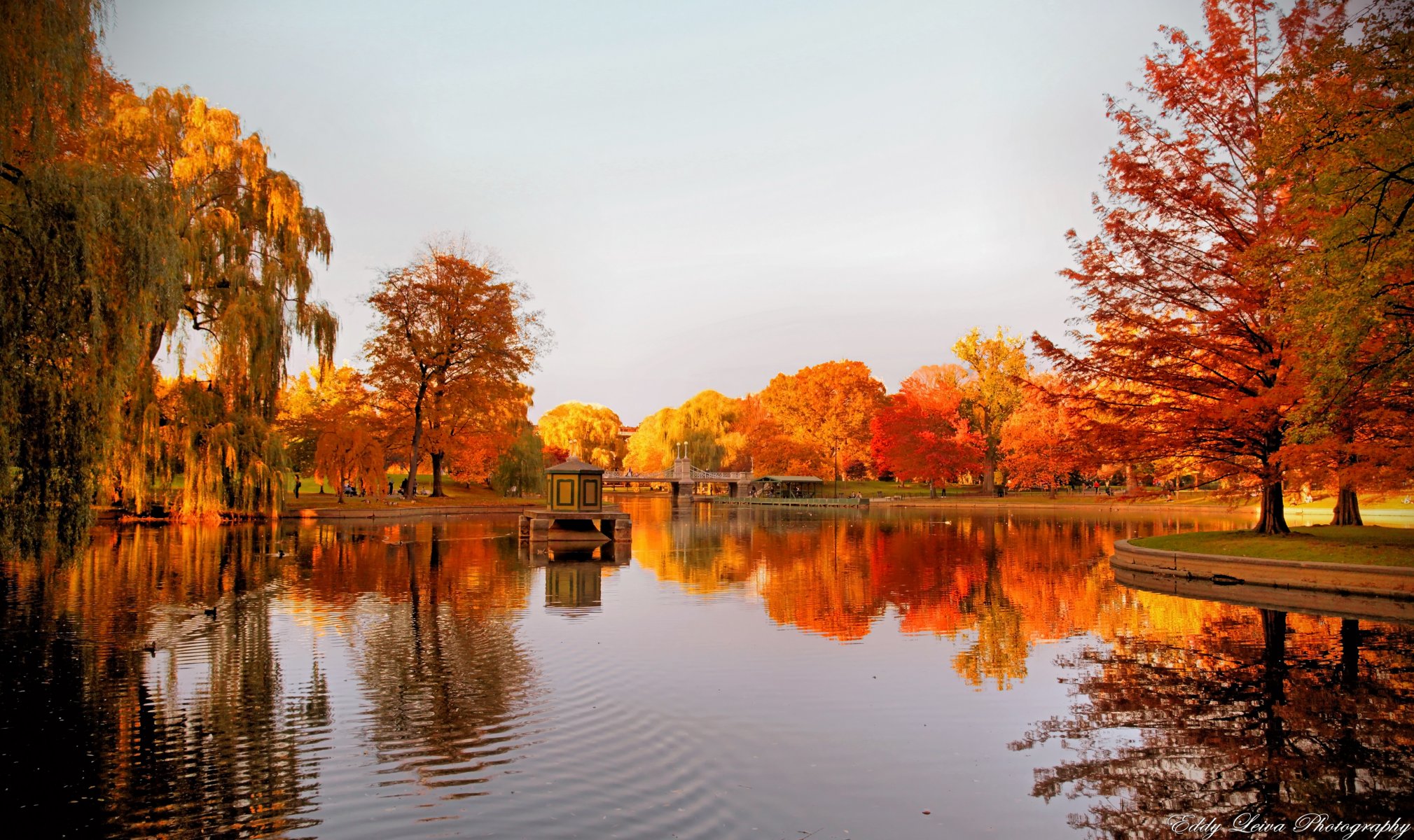 lago árboles cenador otoño reflexión