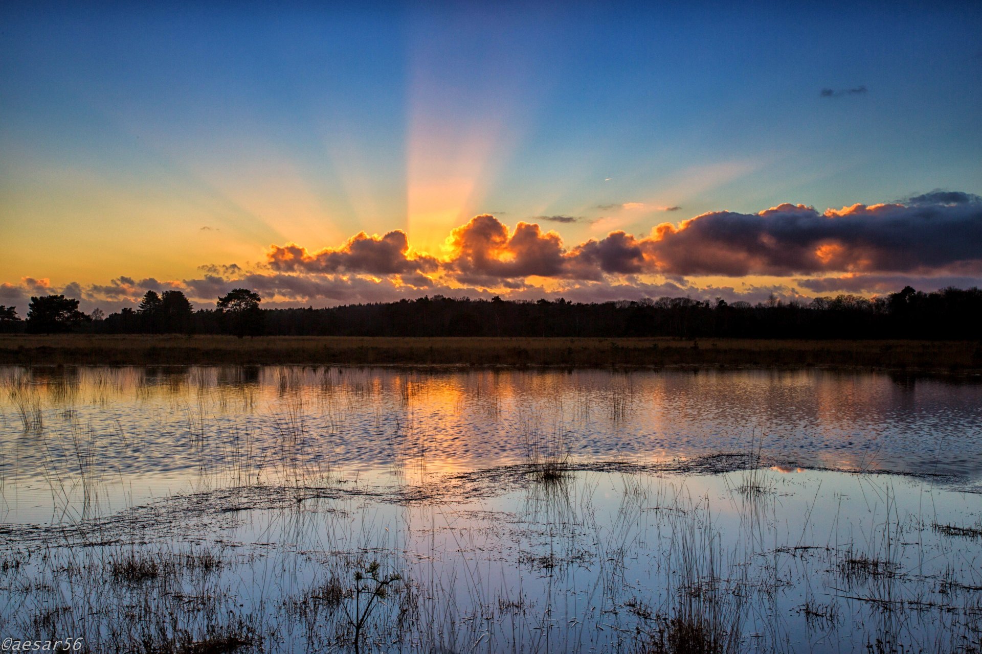 lago agua árboles cielo nubes sol puesta de sol