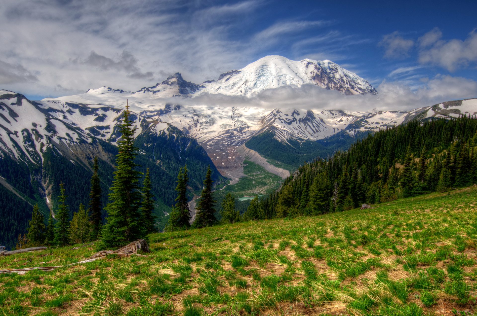 park mountain landscape mt rainier washington grass hdr nature