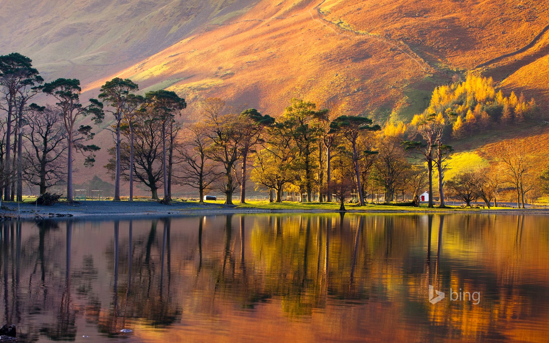 england lake district national park berg hang bäume sonnenuntergang see haus