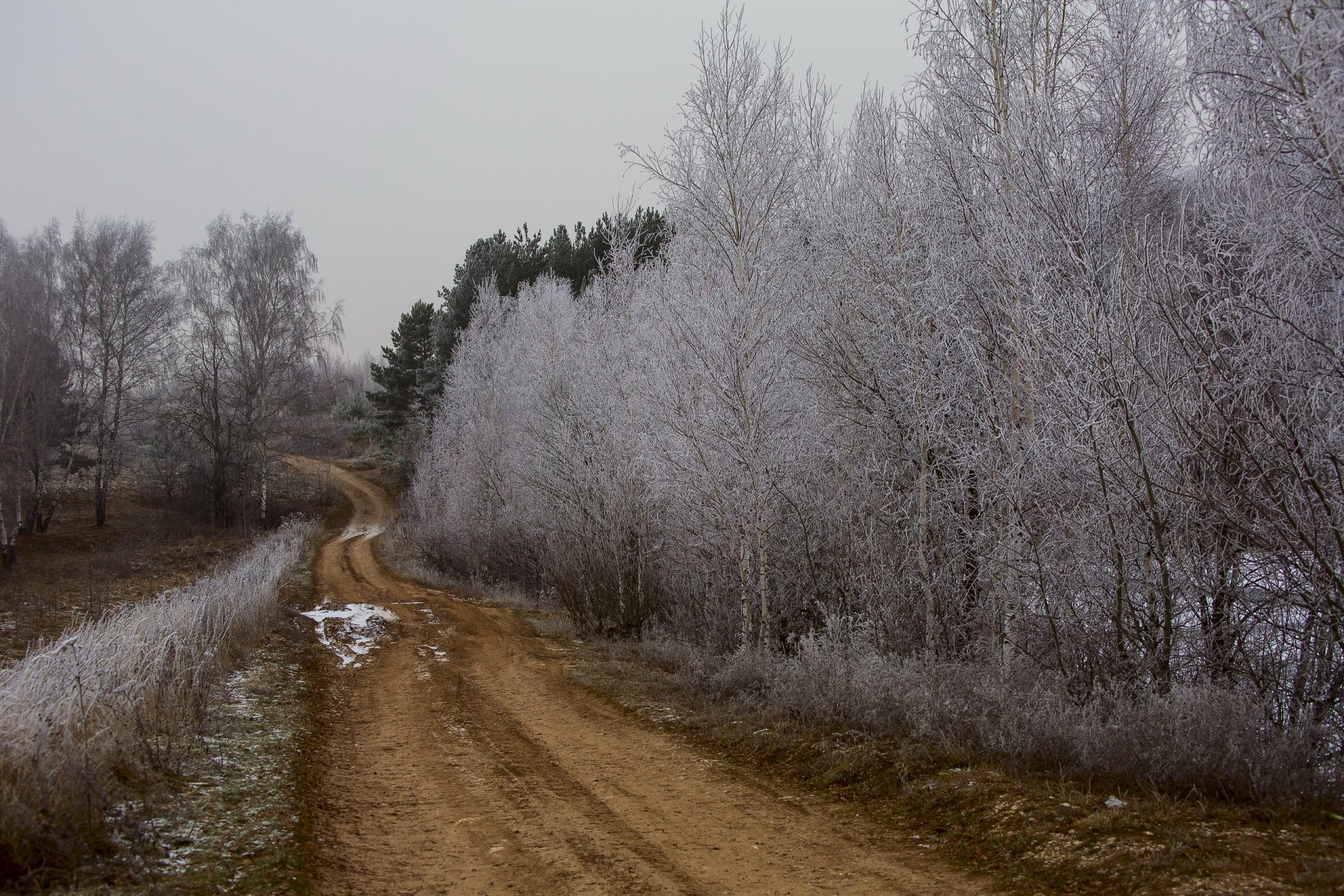 droga drzewa natura jesień szron