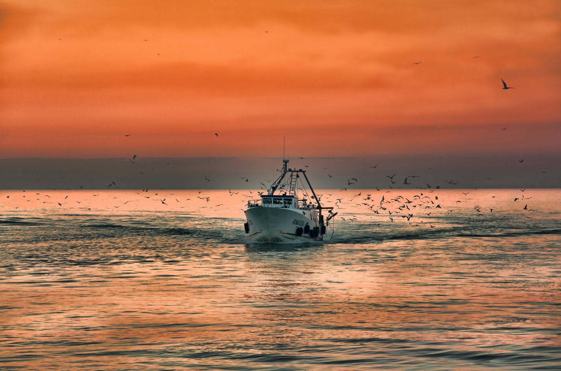 mar barco gaviotas amanecer