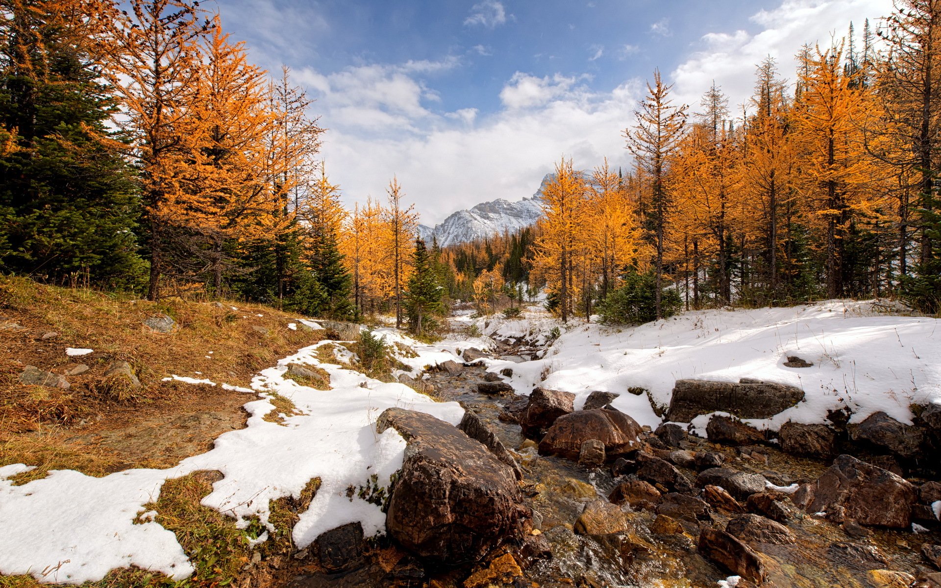 larch valley canadian rockies banff national park river