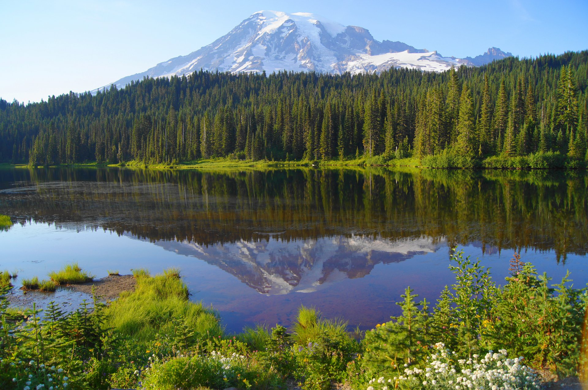 cielo montagne neve alberi lago riflessione foresta fiori