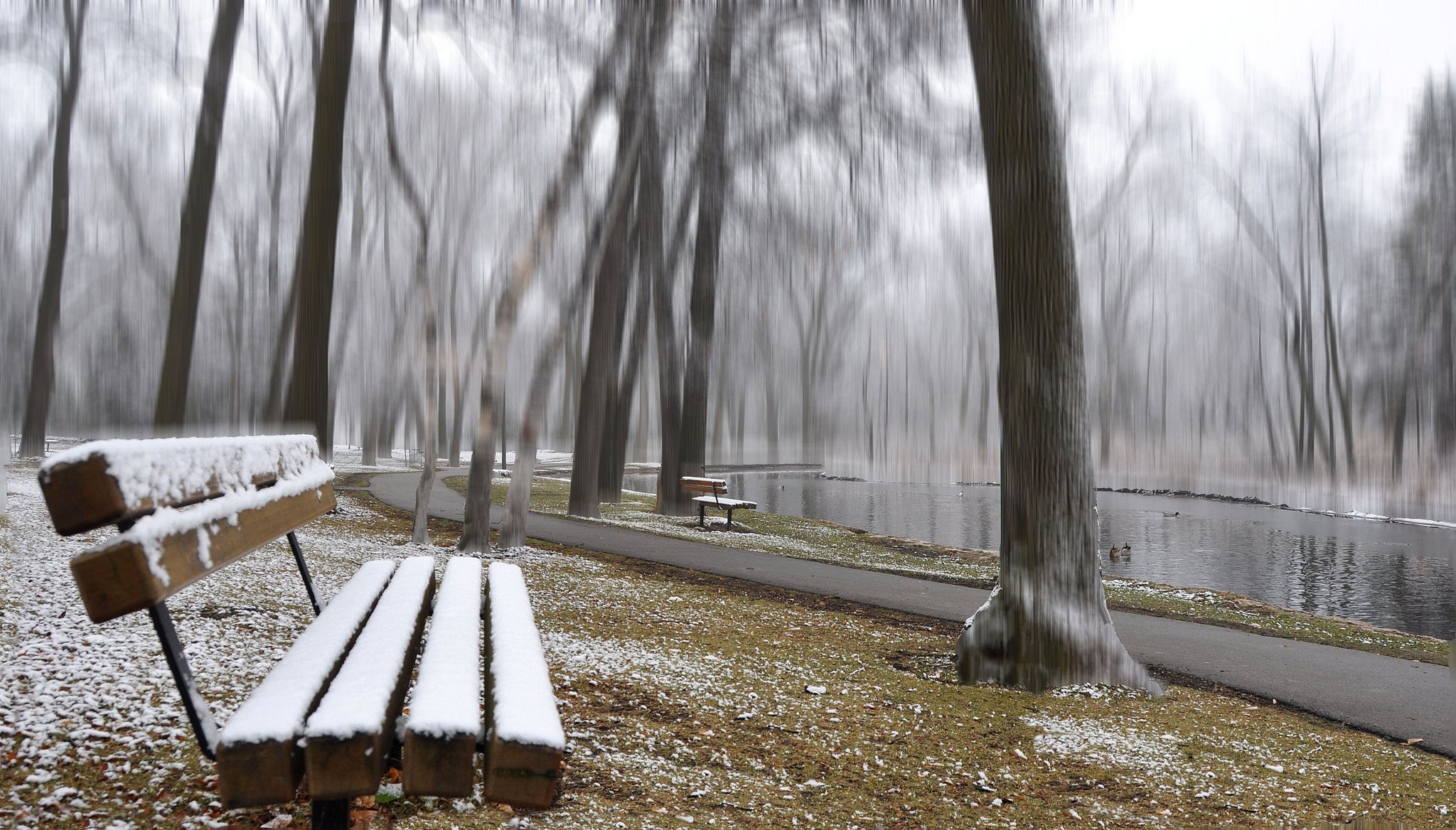 park staw ścieżka ławka drzewa jesień śnieg