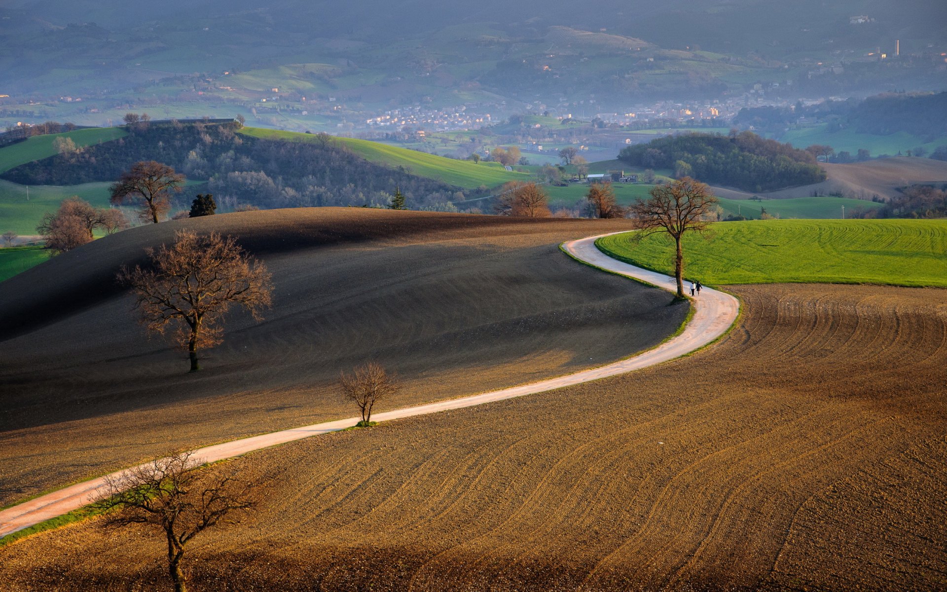 camino campo paisaje naturaleza