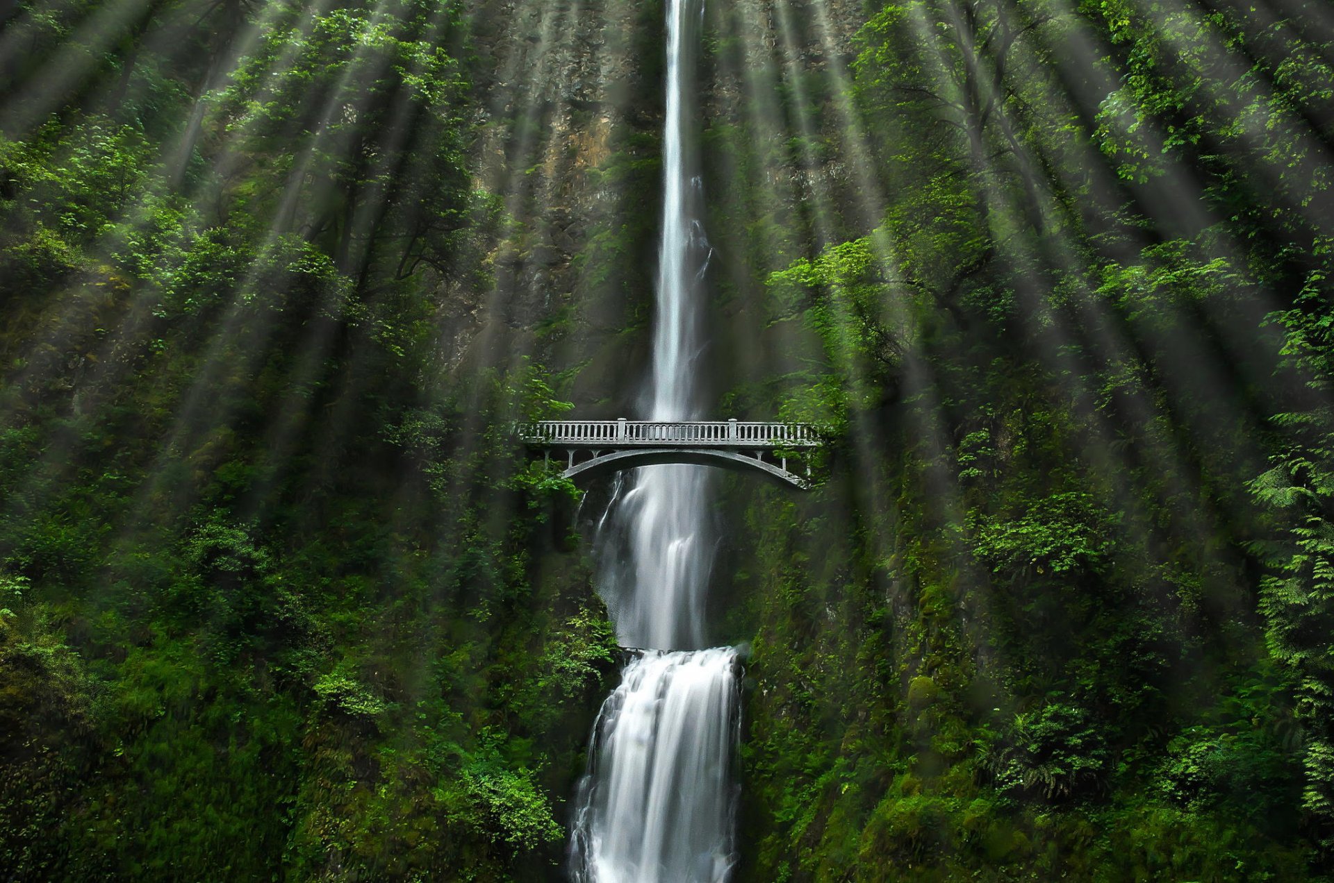 forest bridge waterfall nature