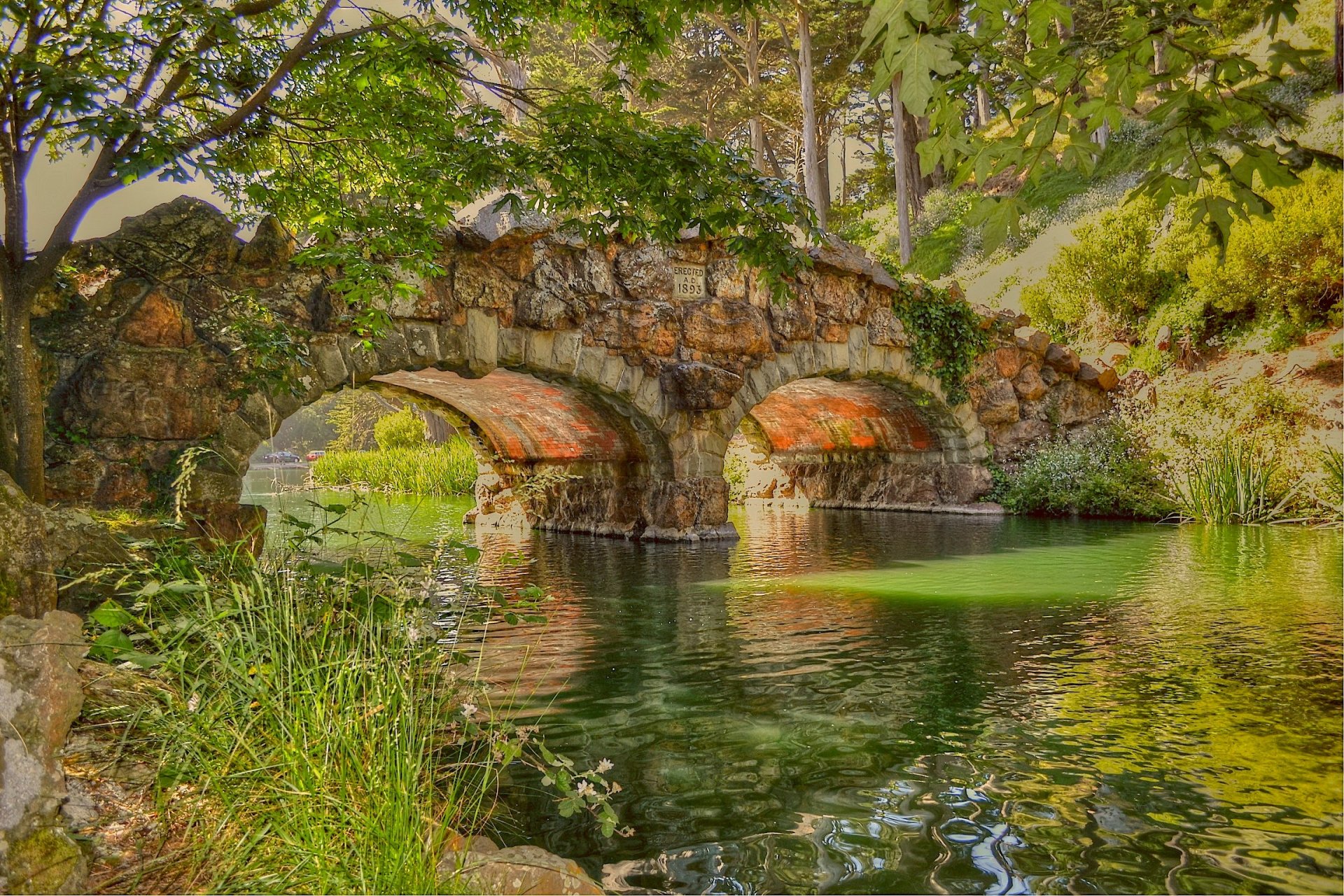 río orillas puente piedra árboles follaje