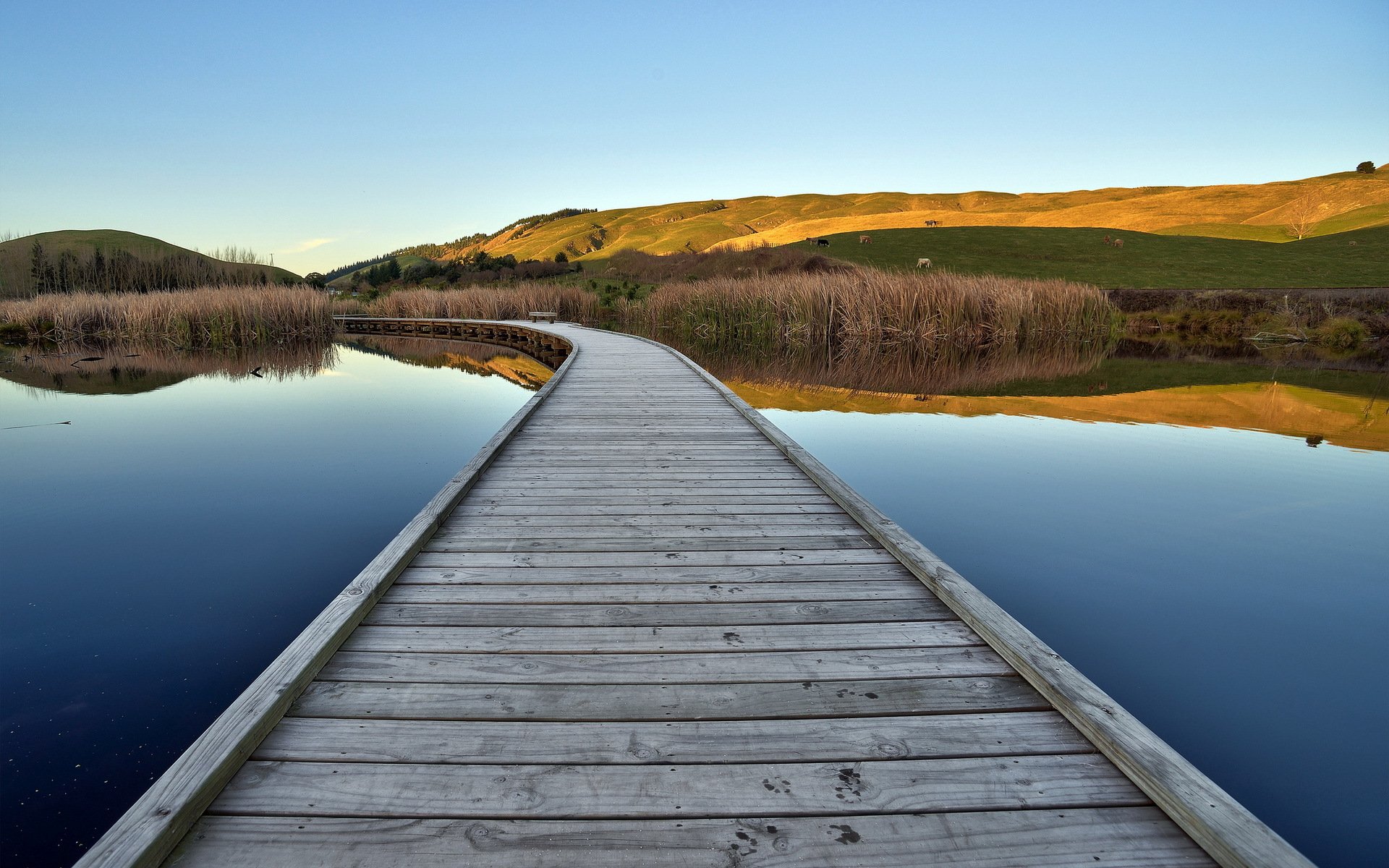 lago puente paisaje