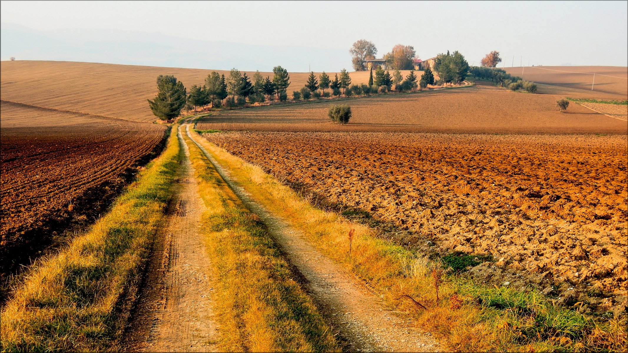 feld straße landschaft