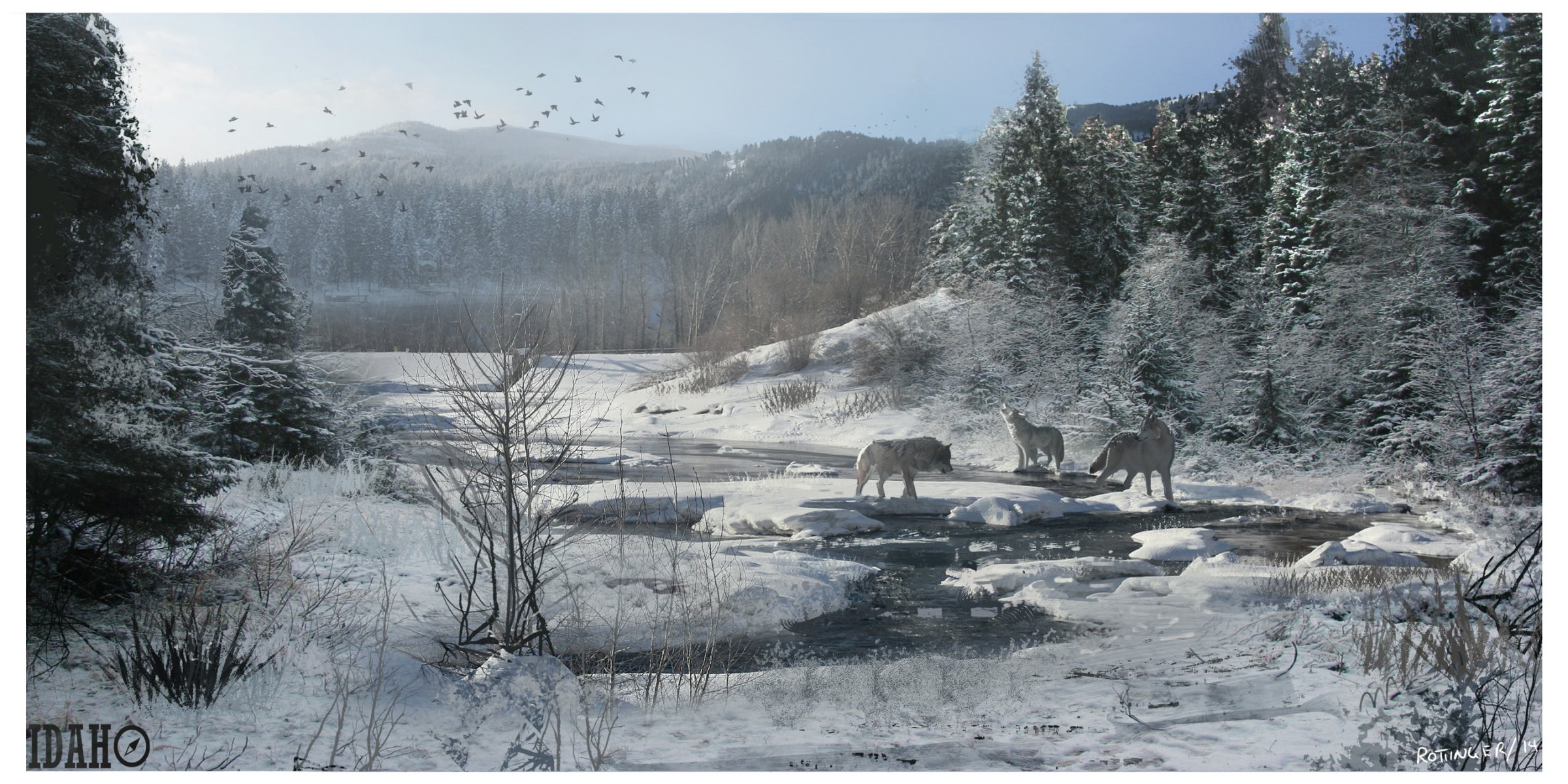 now wolves winter creek forest