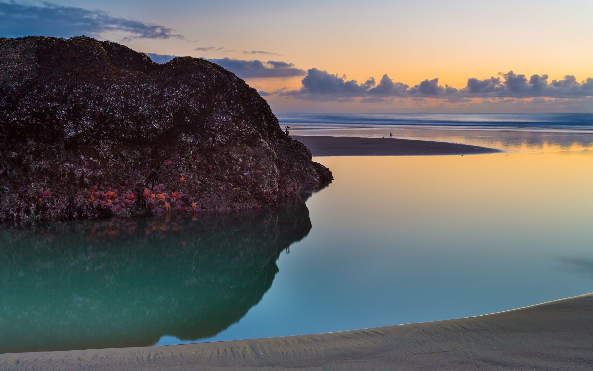 bandon beach côte de l oregon états-unis . coucher de soleil plage océan coucher de soleil rocher