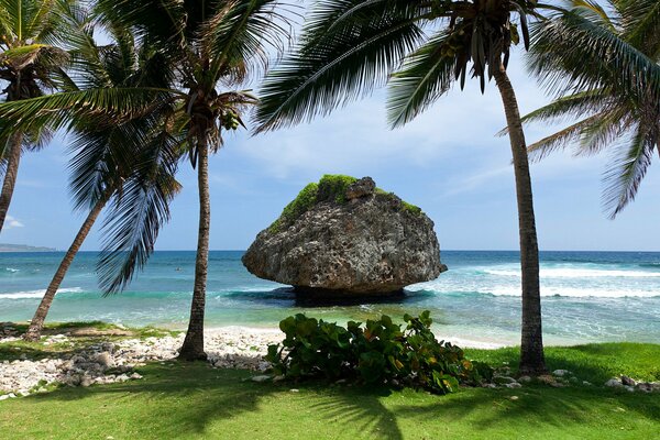 Tropici. Isola nel mare vicino alla riva con palme su uno sfondo di nuvole