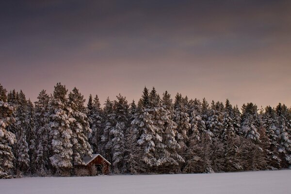 Casa en las afueras del bosque en un día de invierno