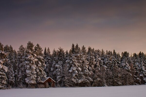 Dom na skraju lasu w Zimowy dzień