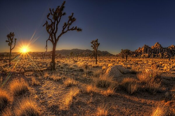 Landscape of the field at sunset