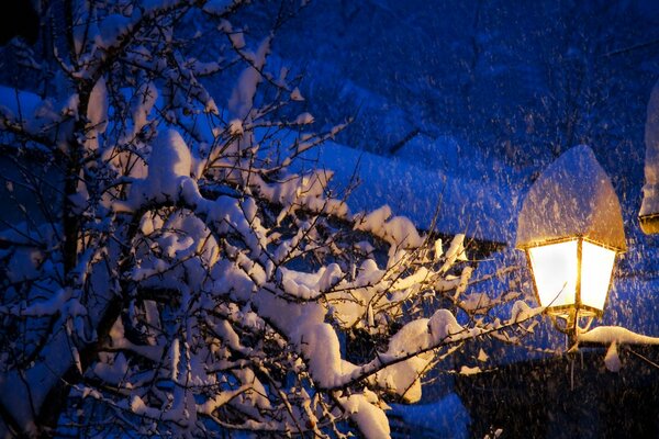 Winterabend leuchtet die Laterne es schneit