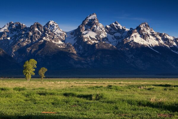 Pezzazh - mountains and a green field