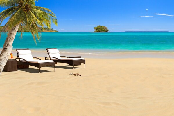 Image of two sunbeds on a tropical beach