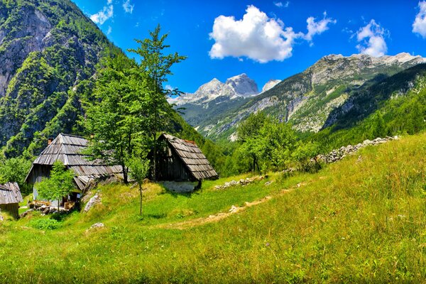 Maison dans les montagnes en Slovénie dans les arbres