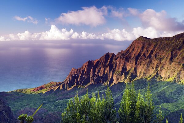 Hermoso paisaje de montañas, mar y bosque