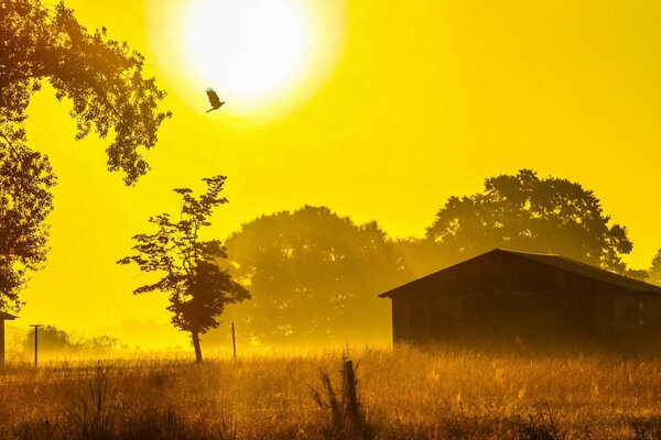 Tapete mit schönem Sonnenuntergang und einsamem Haus