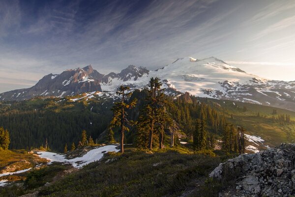 Peaceful morning on the mountainside