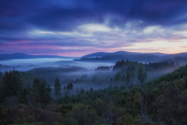 Scotland sunset and fog in the forest