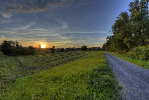 Straße im Feld bei Sonnenuntergang