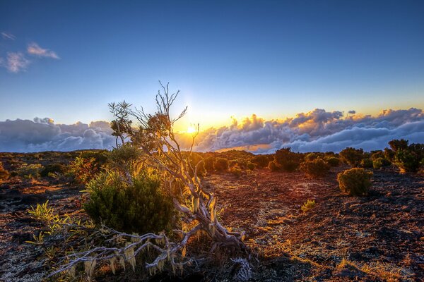 Beautiful sunset with clouds in the field